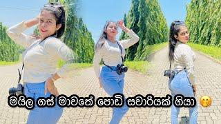 මයිල ගස් මාවතේ පොඩි සවාරියක් ගියා  | Day Vlog ️ | Travel