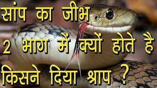 सांप का जीभ 2 भाग में क्यों होते है | किसने दिया श्राप | Why do snakes have tongue in 2 parts