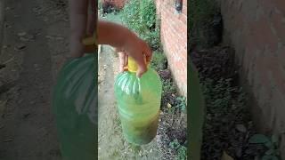 How to make liquid fertilizer from banana peel || homemade liquid fertilizer #fertilizer