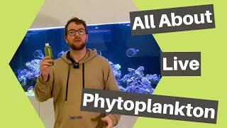 Live phytoplankton and why you should add it to your reef tank!