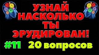 УЗНАЙ НАСКОЛЬКО ТЫ ЭРУДИРОВАН (ТЕСТ) - выпуск 11