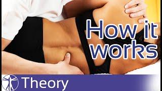 How Manual Therapy Works | Mechanisms & Effects