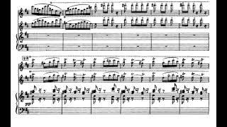 Navarra Op.33 (P. de Sarasate) Score Animation