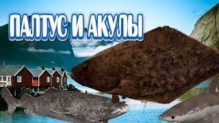 РР4 | Палтус и акулы | Норвежское море | Трофей