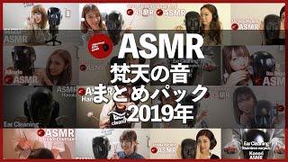 [睡眠用ASMR]2019年の耳かき梵天の音フェチまとめ[JGA]