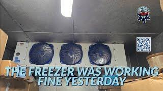 THE FREEZER WAS WORKING FINE YESTERDAY