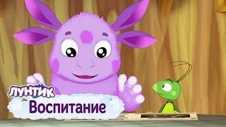 Воспитание  Лунтик  Сборник мультфильмов 2019