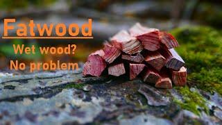 Fatwood (fire starting). Wet wood? No problem. [4K]