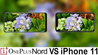 Oneplus Nord Vs iPhone 11 Camera Test