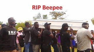 How Beepee Body Reached His Home