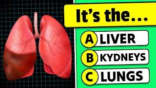 How Many Human Body Parts Can You Guess?  | General Knowledge Quiz