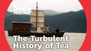 Robert Fortune on How Tea Was Stolen From the Chinese | FULL DOCUMENTARY