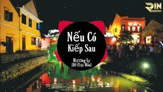 Nếu Có Kiếp Sau Đại mèo Remix  Hương Ly  nếu có kiếp sau mình vẫn bên nhau đúng không anh