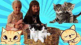 KotoKafe Katya and Nastya play with cats Huge cat Lenya Video for children