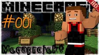 Minecraft FTB #001 - Einführung dies das | "Megaprojekt"