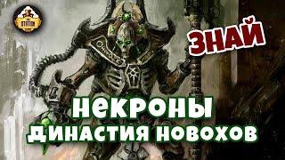 Династия Новохов | Некроны | Знай | Warhammer 40k