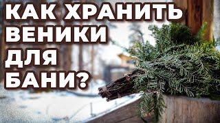 КАК ХРАНИТЬ ВЕНИКИ для бани: берёзовые, дубовые, пихтовые и веники из трав. ЛУЧШИЕ способы хранения!