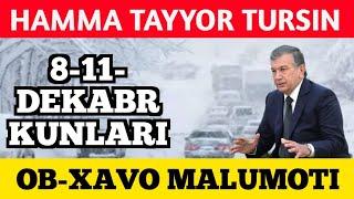 HAMMA TAYYOR TURSIN 8-11- DEKABR KUNLARI OB- HAVO MALUMOTI