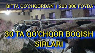 QO'CHQOR BOQISH SIRLARI