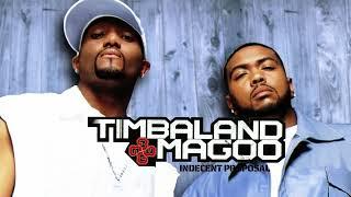 Timbaland & Magoo - Party People feat. JAY-Z & Twista (Visualizer)
