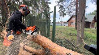 🪵 Убираем сломанное ураганом дерево часть 1 Штиль МС 362 С | Stihl MS 362 C cutting broken tree