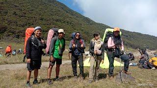 indahnya alun-alun Surya Kencana | Keong Mrambat to Gunung Gede-Pangrango, via Putri lintas Cibodas