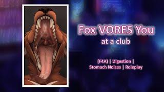 [F4A] Fox Vores You at a Club (ASMR Roleplay - Digestion Sounds, Burps, Neko Listener, Prey POV)