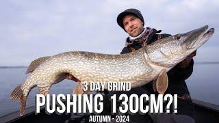 The BIGGEST FISH on the channel... - Grinding with Big Baits