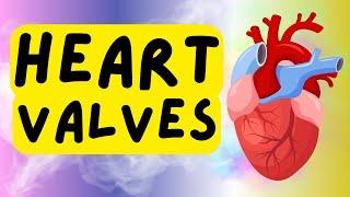 Heart Valves - Atrioventricular Valves - Semilunar Valves - Tricuspid - Bicuspid