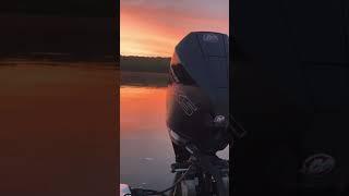 ￼ Evinrude 225 vs mercury pro xs250￼