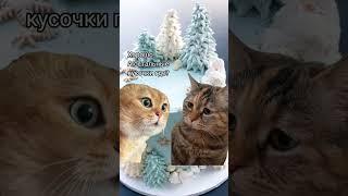 Разговор двух котов ч.19