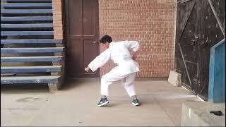 Chang Quan Basico 4.      Wushu Shaolin (Shifu Sal)