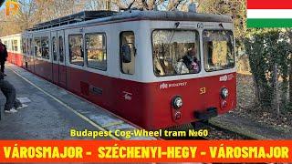 Cab Ride Budapest Cog-Wheel Railway (Budapest's Tram Line №60, Hungary) train driver's view 4K