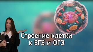 Строение клетки к ОГЭ и ЕГЭ