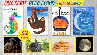 Eric Carle Read Aloud Books for Kids | Mr. Seahorse | Toddler and Preschool Bedtime Stories