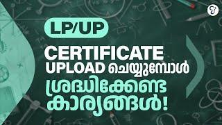 LP /UP Certificate Upload ചെയ്യുമ്പോൾ ശ്രദ്ധിക്കേണ്ട കാര്യങ്ങൾ | LIVE | LPUP EXAM 2024