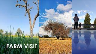 MY FARM VISIT | INDIA FARM VISIT | RAJASTHAN FARM HOUSE | MY FARM HOUSE VLOG | MY FARM VLOG