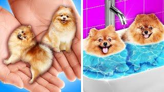 REICHES MÄDCHEN RETTET STRAßENHUND || Pflege eines Streuners! Nützliche Hacks & Gadgets auf 123 GO!