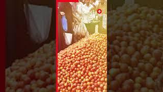 Explained: These Viruses Are Behind Rise In Tomato Prices