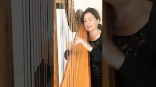 Beautiful Finale: Pachelbel’s Canon in D on Harp 