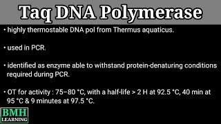 Taq DNA Polymerase