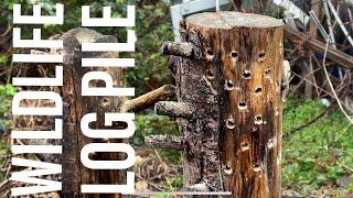 CREATING A WILDLIFE LOG PILE