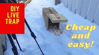 Rabbit trap DIY. Easy and cheap build