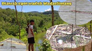 Berburu biawak/kadal burik spot waduk Wadaslintang/ sniper sobo alas