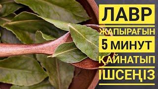 Лавр жапырағын қайнатып ішсеңіз дәрігердің керегі болмайды