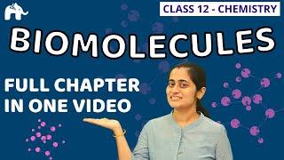 Biomolecules Class 12 Chemistry | NCERT Chapter 14 | One Shot |CBSE NEET JEE