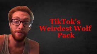 TikTok's Weirdest Wolf Pack Is Scary | Wolfpack Elite