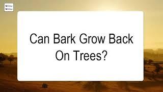 Can Bark Grow Back On Trees