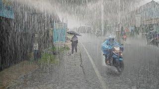 Heavy rain hits my village in Indonesia, quickly fall asleep more comfortably with sound heavy rain