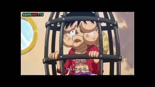 Mức truy nã mới của băng Mũ Rơm || One Piece Series